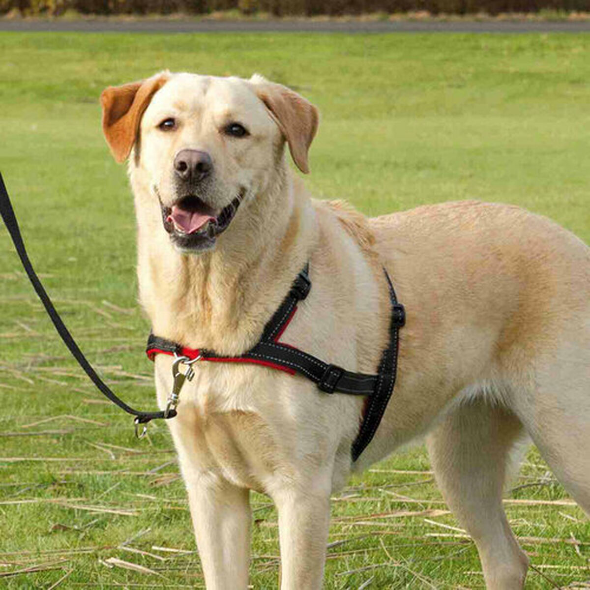 V7HF3BC25B952D3031E4CA075AC7EC650E5R7441908P8