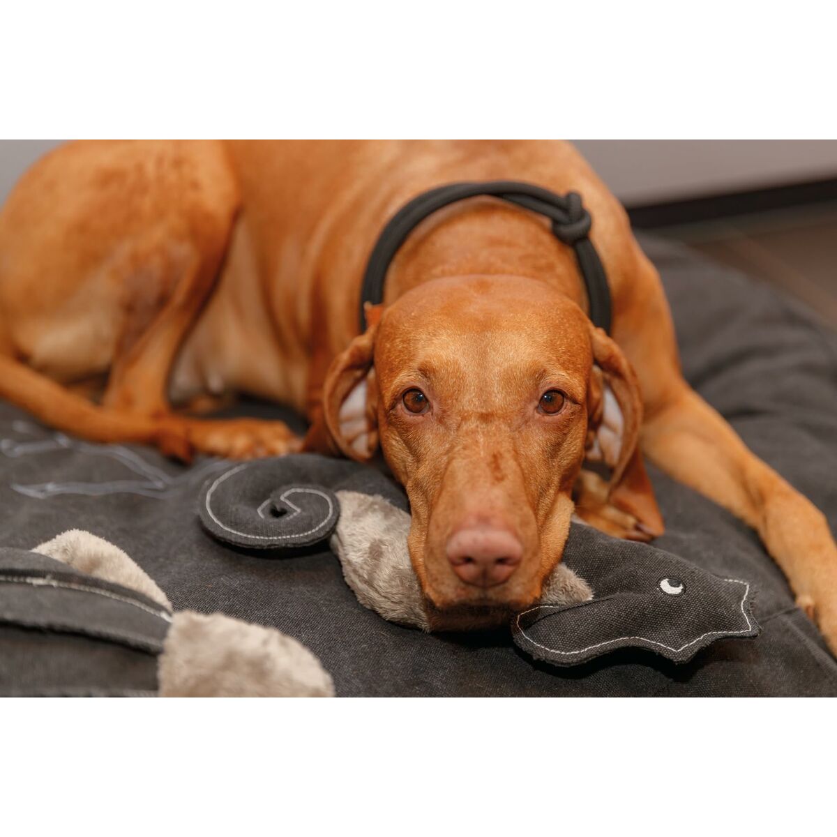 V6H0455091A70DA993C03047695396A5E26R5330744P4