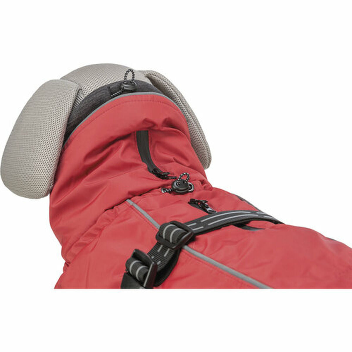 V6H596C06408FACA62FF6689E99FBB6A4C3R7463127P10