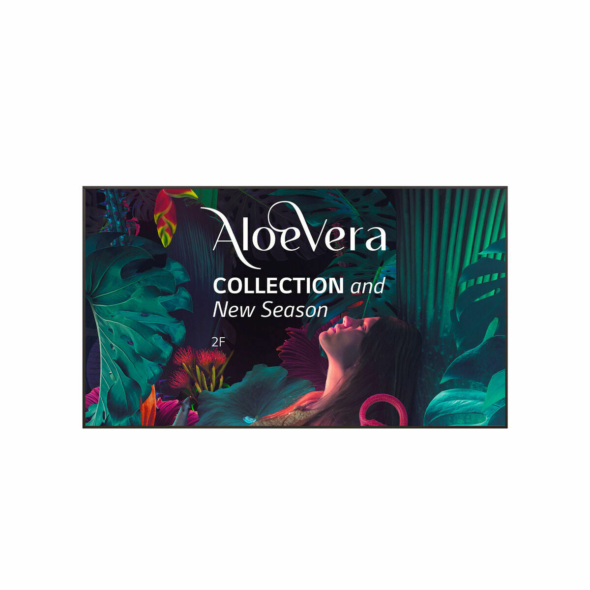 V4H3755B90686DB294574F80E8E1084FFA9R7360539P1