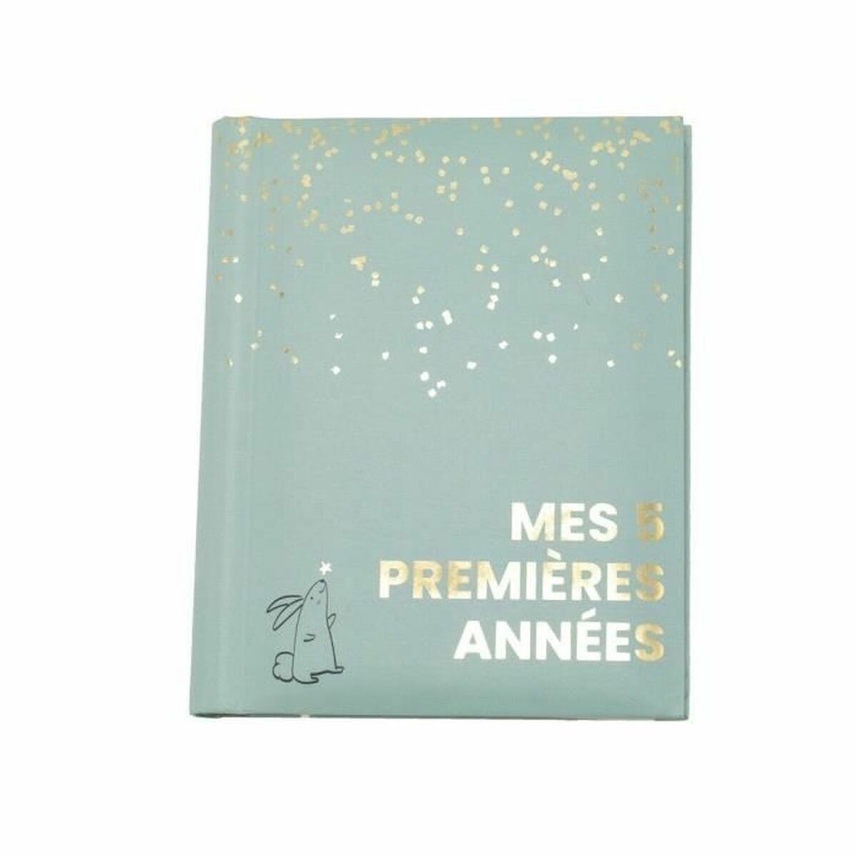 V3H5C21F1377B123A717F5BE8B54982D96CR7254336P1