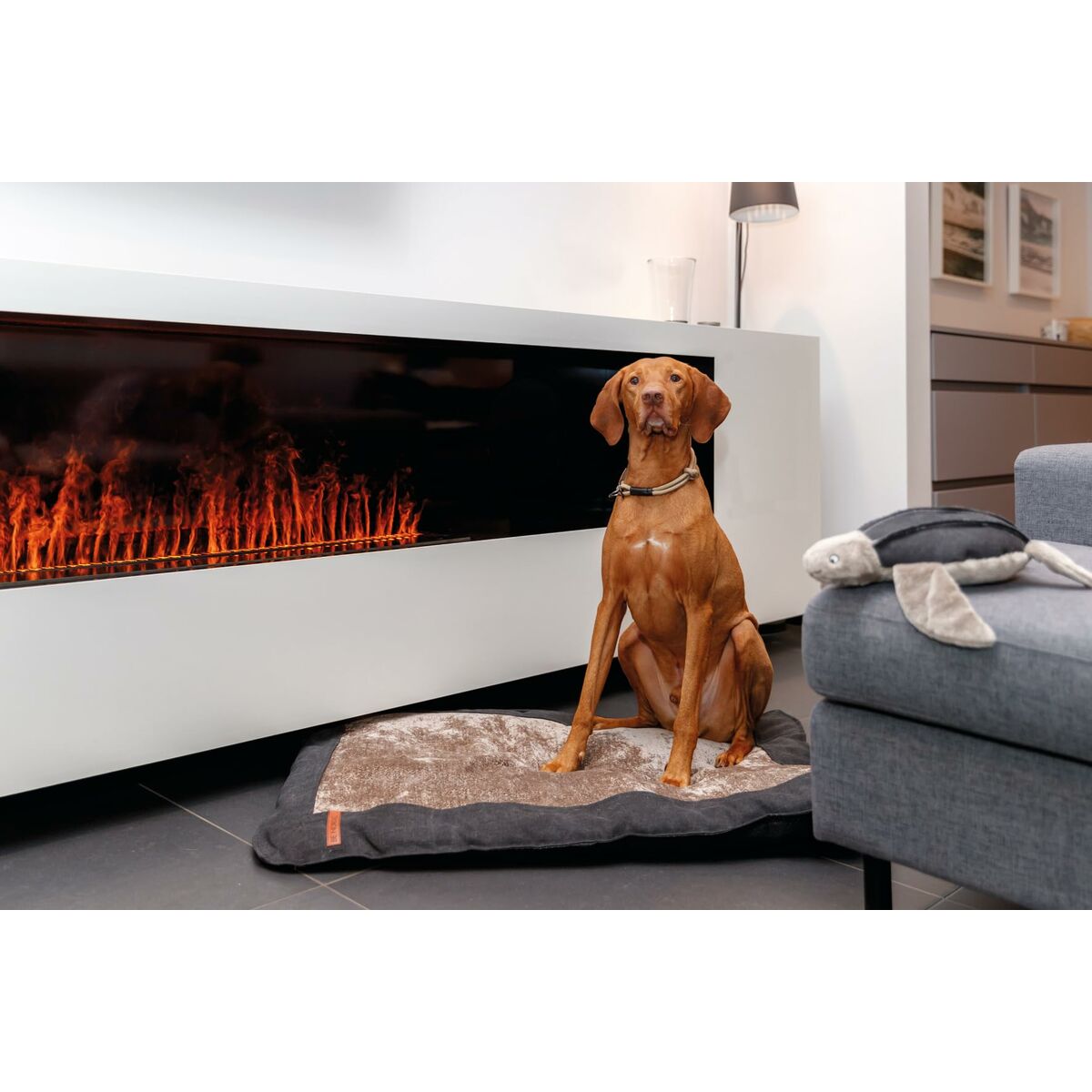 V6HD135AA341656485EB100C78AEF78E4CDR5329626P8