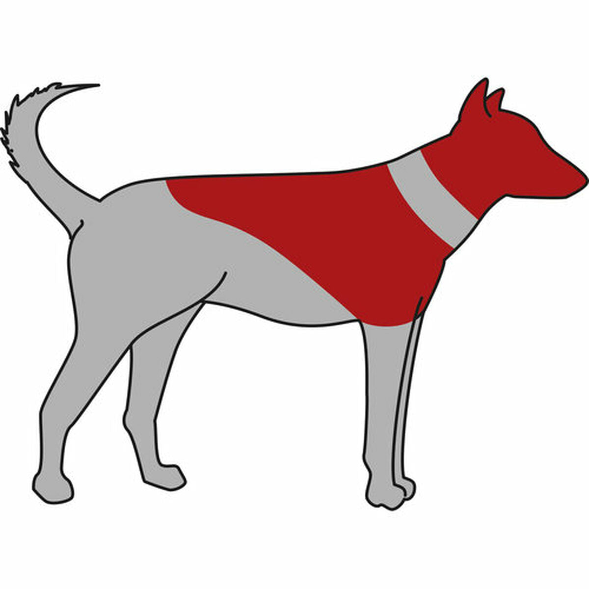 V6H2BFA63C84274DCFF17D956128289AD16R7440319P6