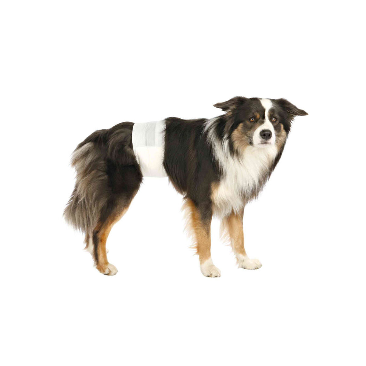 V6H8AD4C63C6D78306D3B80101BB9984244R7444076P3