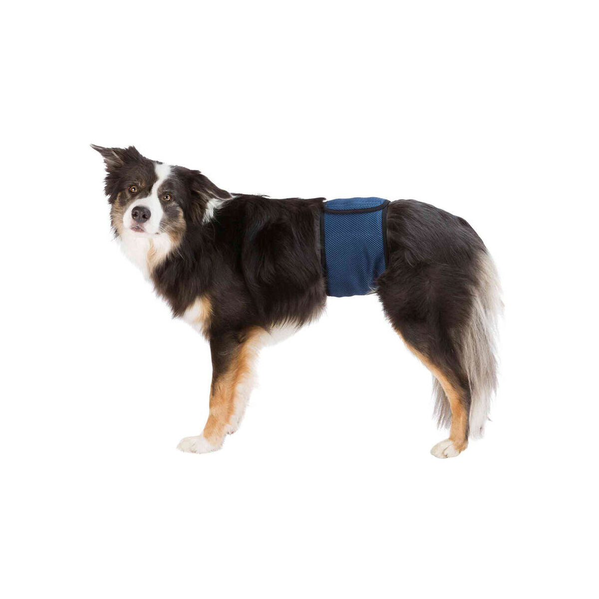 V6H98234137A69E1FD12657056C8FEC0CEBR7444027P1