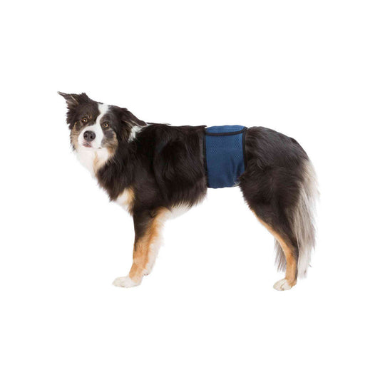 V6HFF6C5D8B6D0783C8DCD40D3C35E03A73R7444162P1