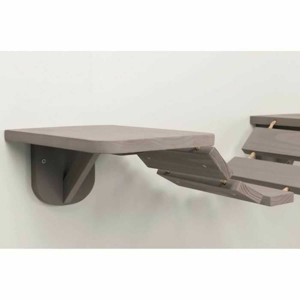 V3H7B54715082C8D0FC8080287B8FA9CB83R5084526P1