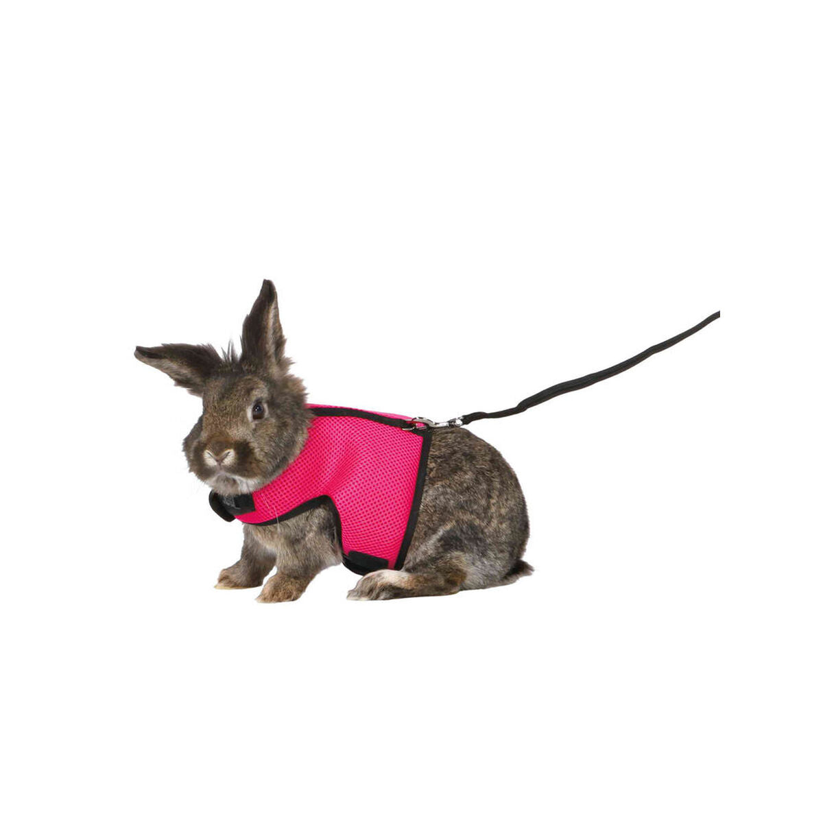 V6H52567F3CD17B52E55B66CEACAEFCCD92R7445942P10