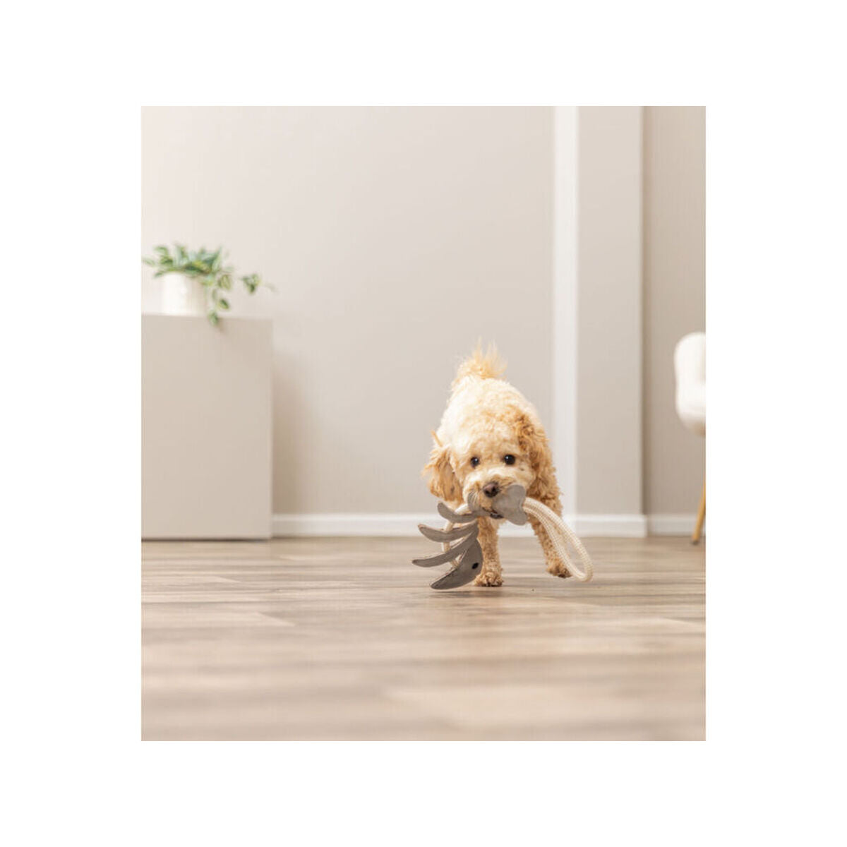 V4H0DF926E00BC16187AF4192217DC16A7ER7463016P5