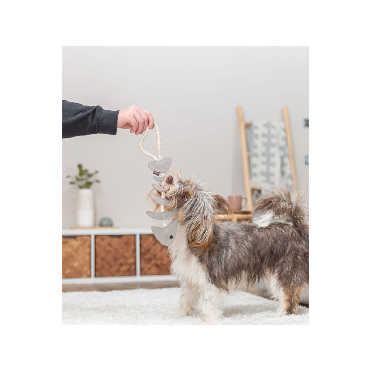 V4HDDBE6CE62509740AB799044D1951119ER7463023P7