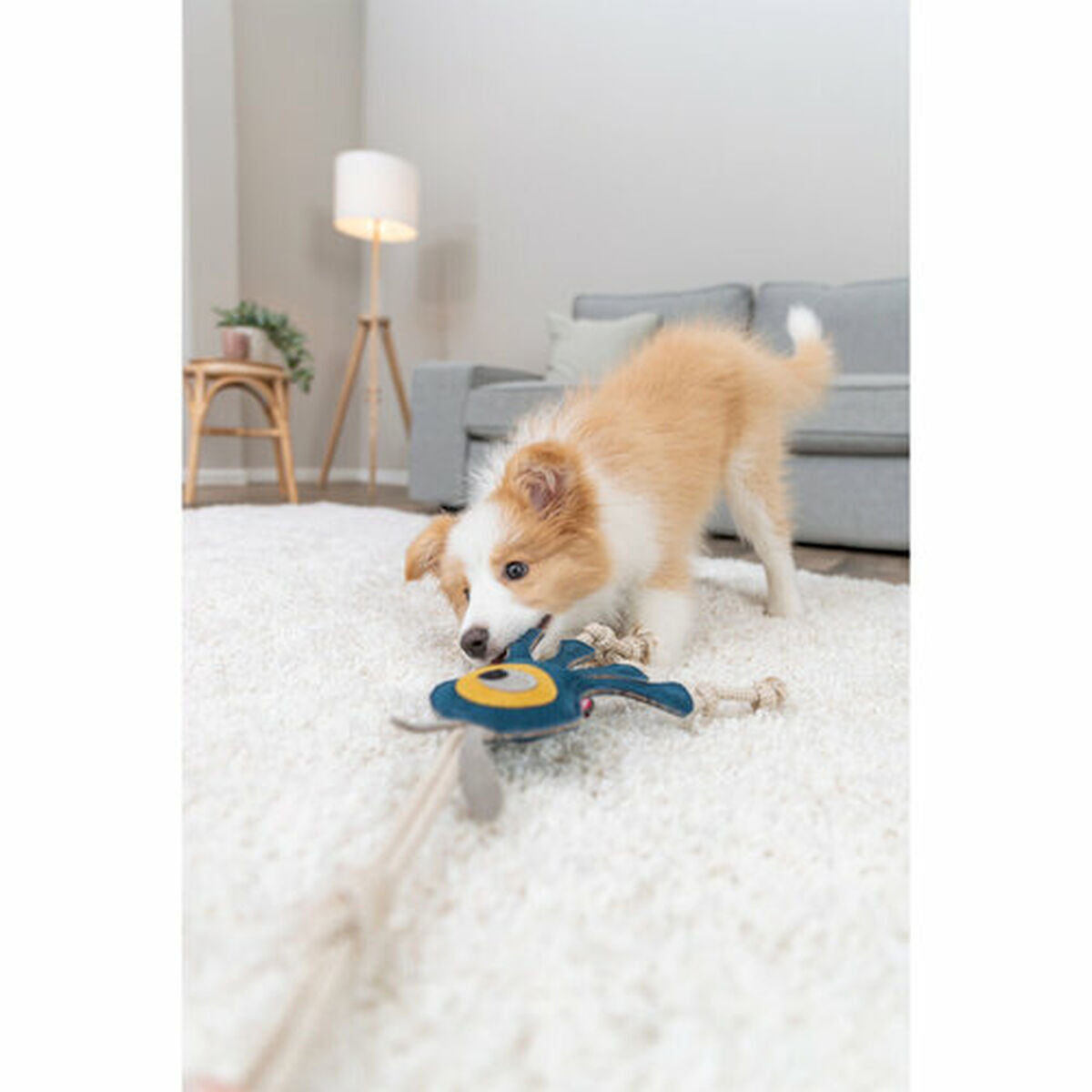 V4HA48C104ED267DFD20D34DBCEF6823D2FR7449073P6