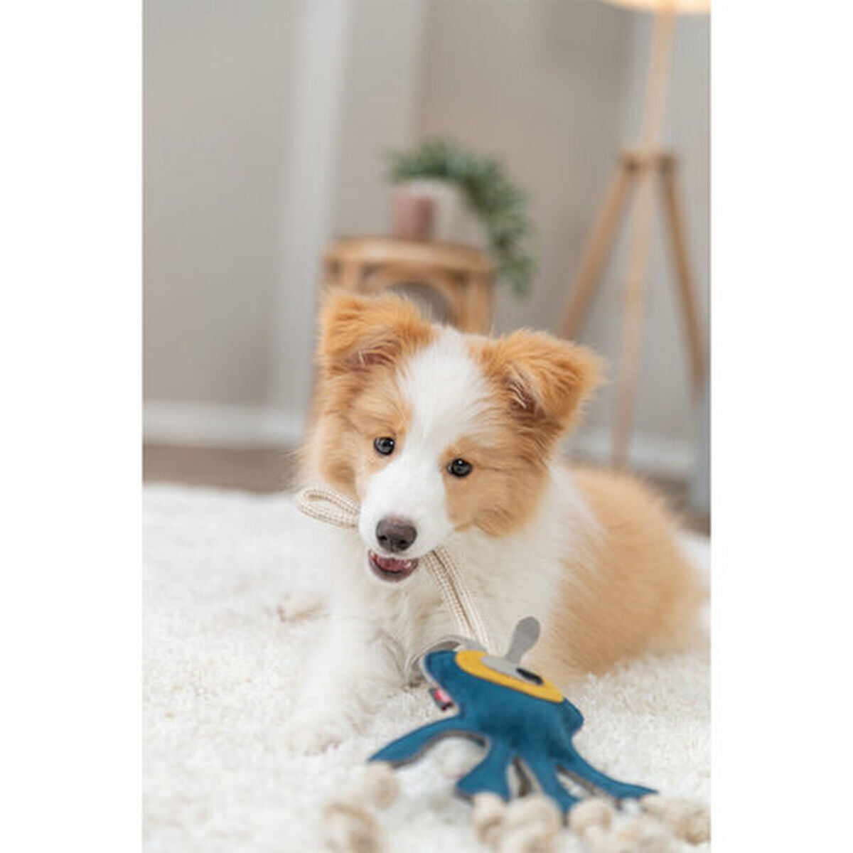 V4HAFF2F6B425A297541D4730484640C88DR7449077P8