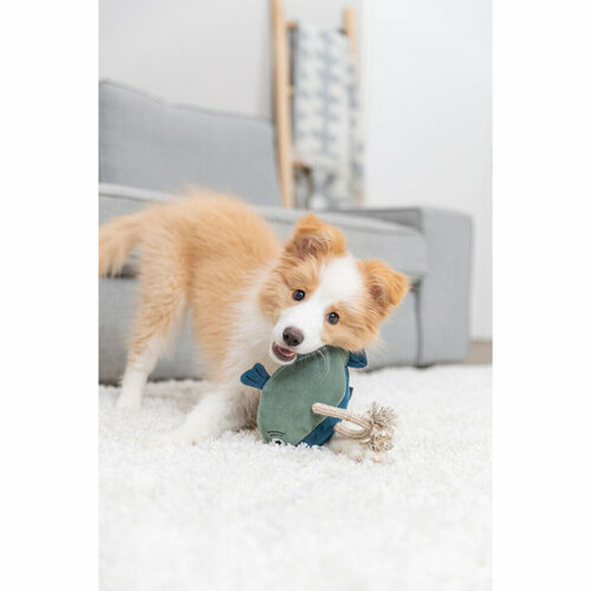 V4H0217513F810EA9C9BC20BB7529A87A00R7462293P10