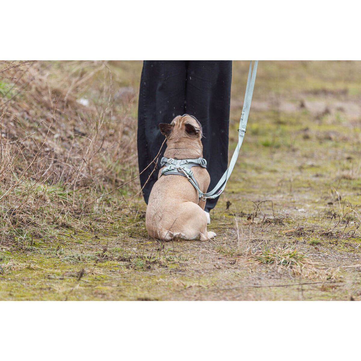 V4H96CF2CAF30FF0FC5463F52FBA9FF05B5R7463751P5