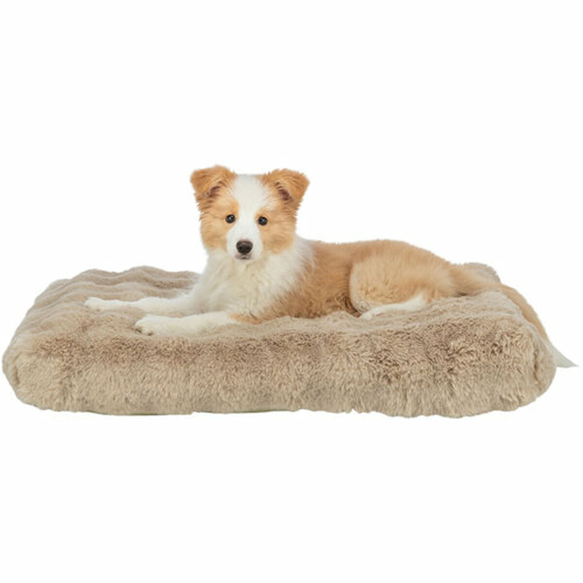 V4H6107E9F4E6314DE8D61278E480BC70CCR7463543P4