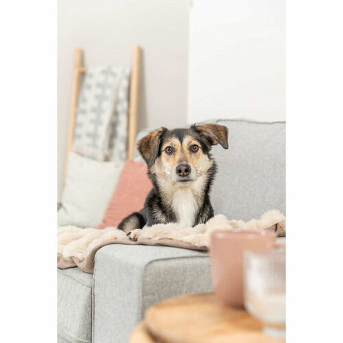 V4HC7DDEEDB1A5104ED83CE6DED87274B7CR7452680P4