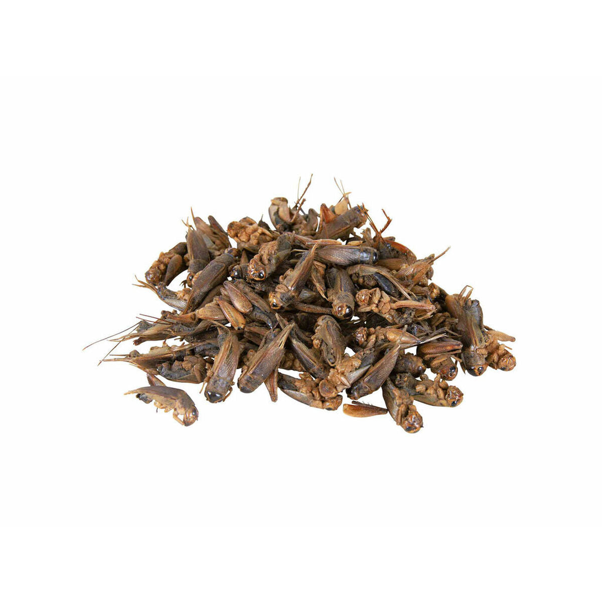 V6H443A0578E27CAF2CA7608F3F47957E0AR7447064P3