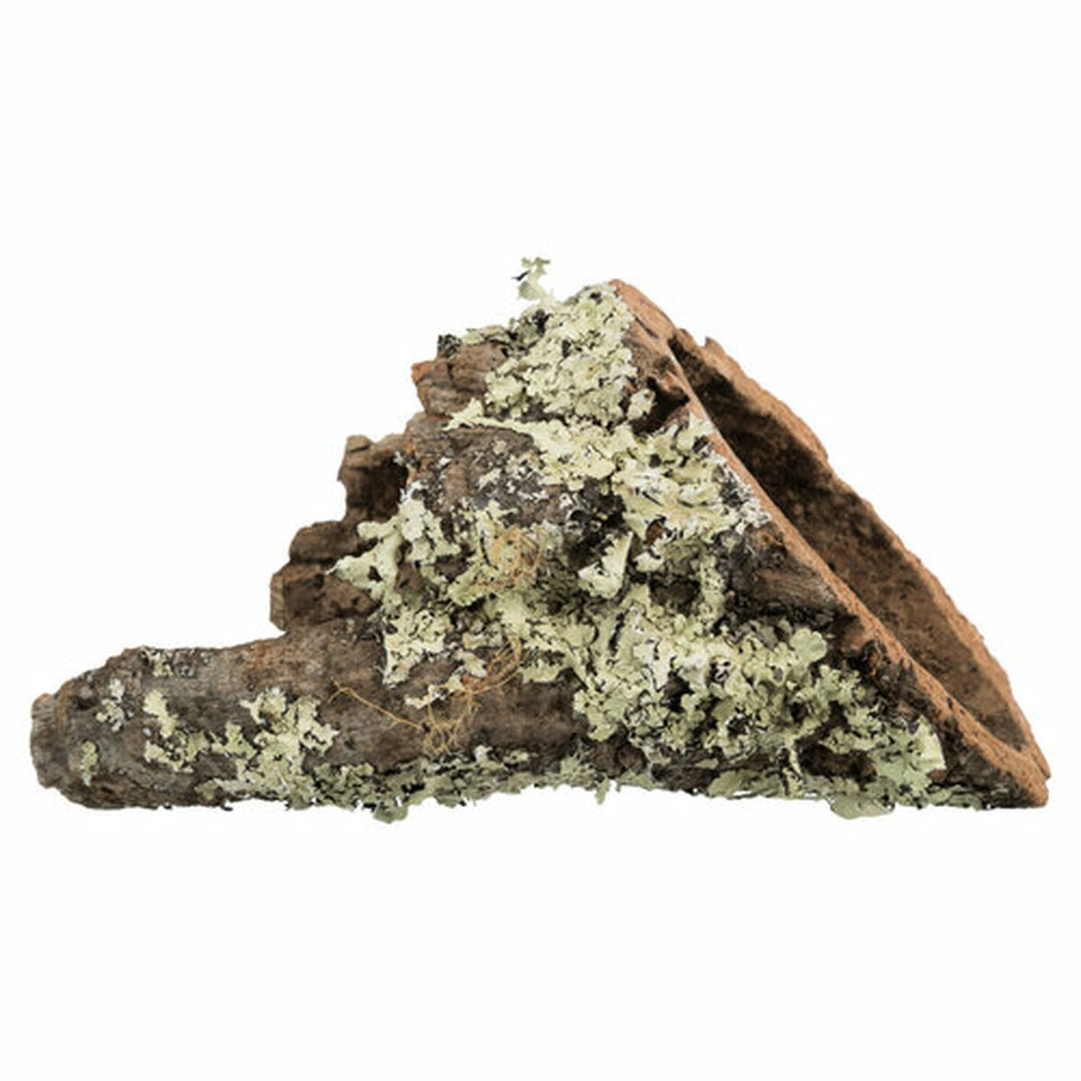 V6HB4A7A7FCB51EBBDFF49C3353424CB28FR7446167P2