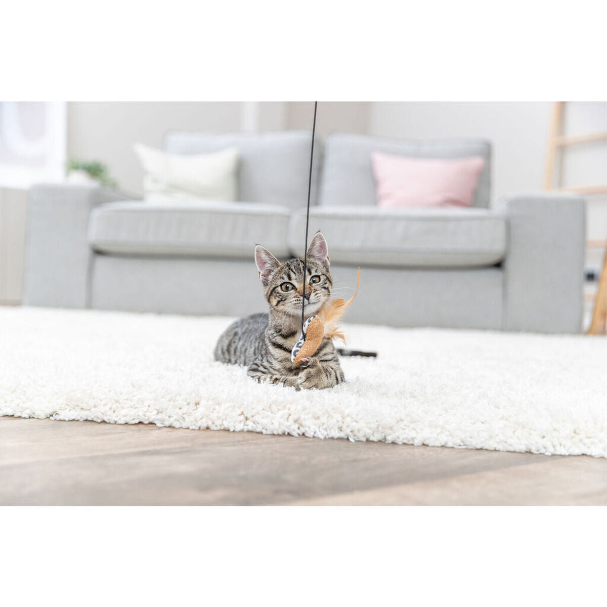 V3HDF60D2DFBA2726A0CDC812AF3575C843R7505401P3