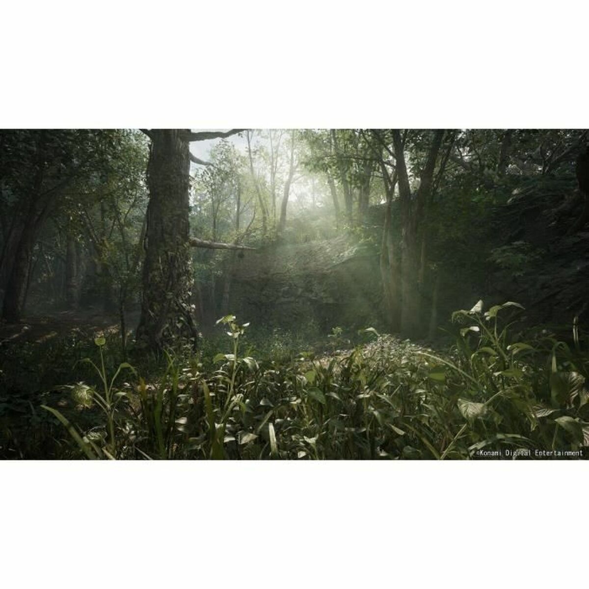 V3HCE056A1CE00F918BEF9AF0E9554FF705R6915943P5