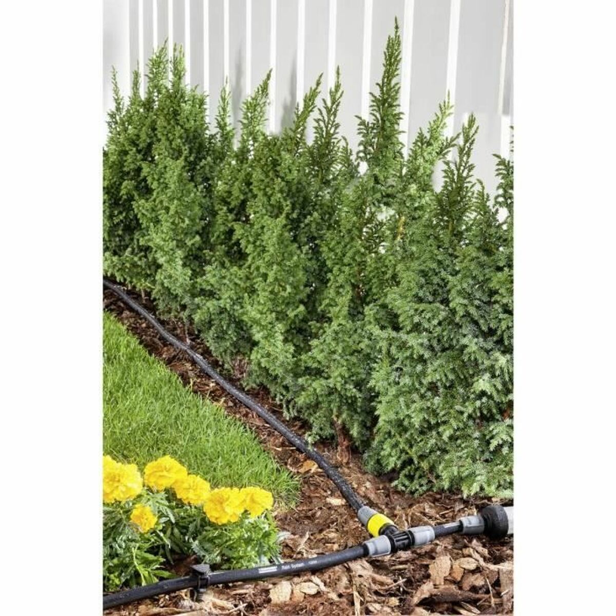 V3HFC6160E2CD93743123AE5C5AAF25F147R7152884P6