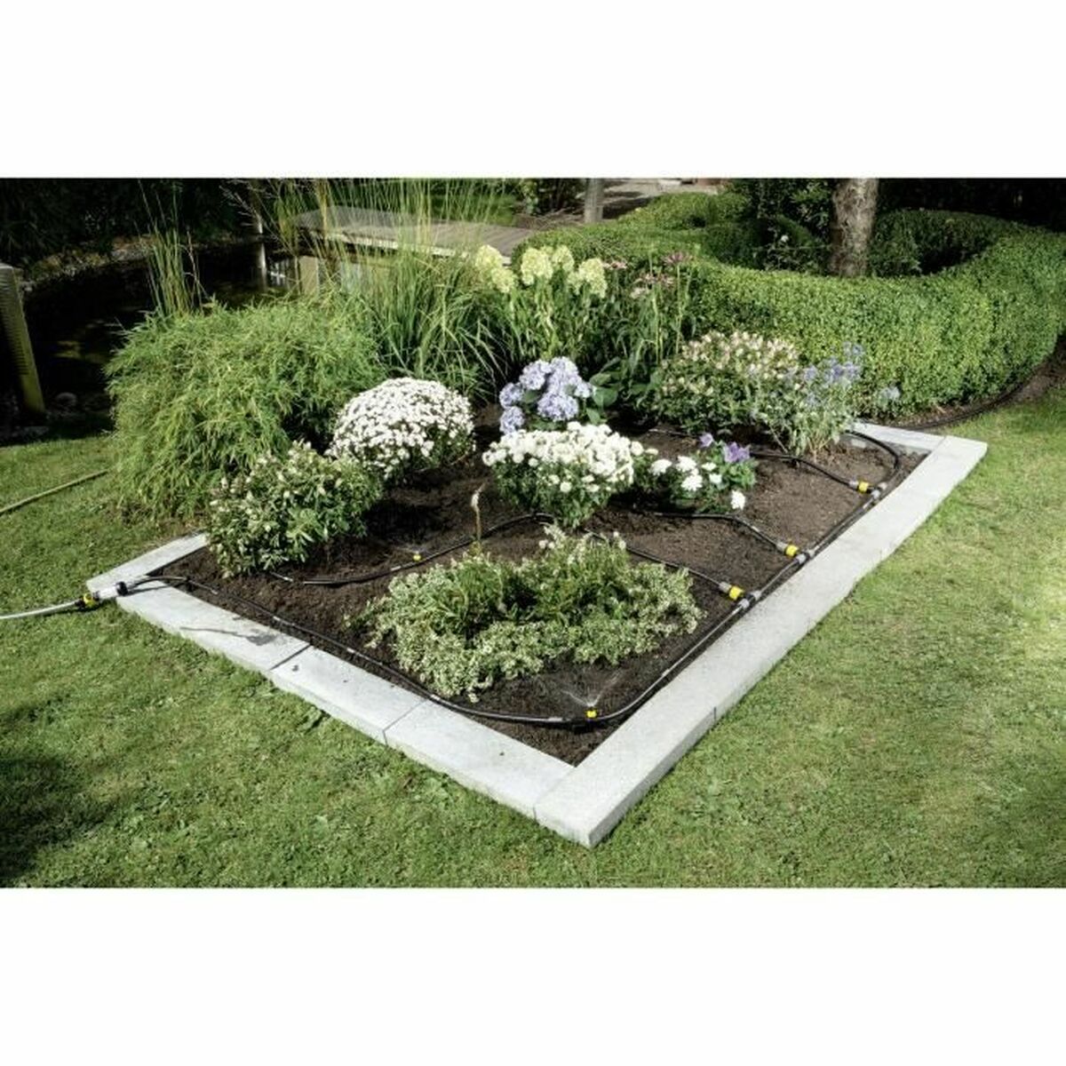 V6HC6D637CB0DE66C2000CE764745CC9BF5R6164945P2