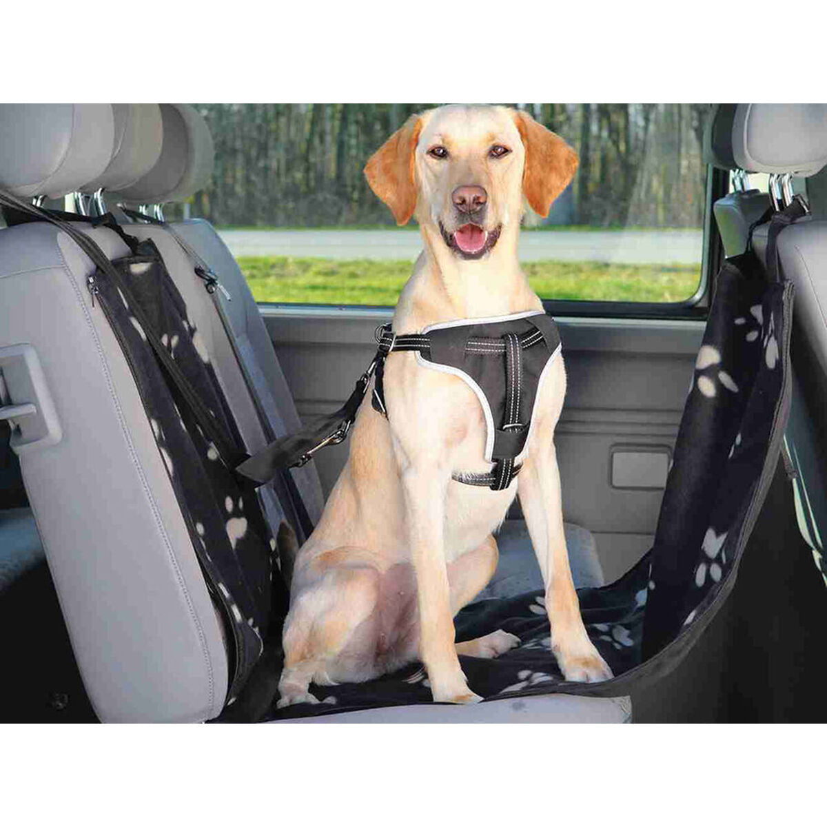 V6H074E30CE3536E83E060CC435956895DCR7442520P5