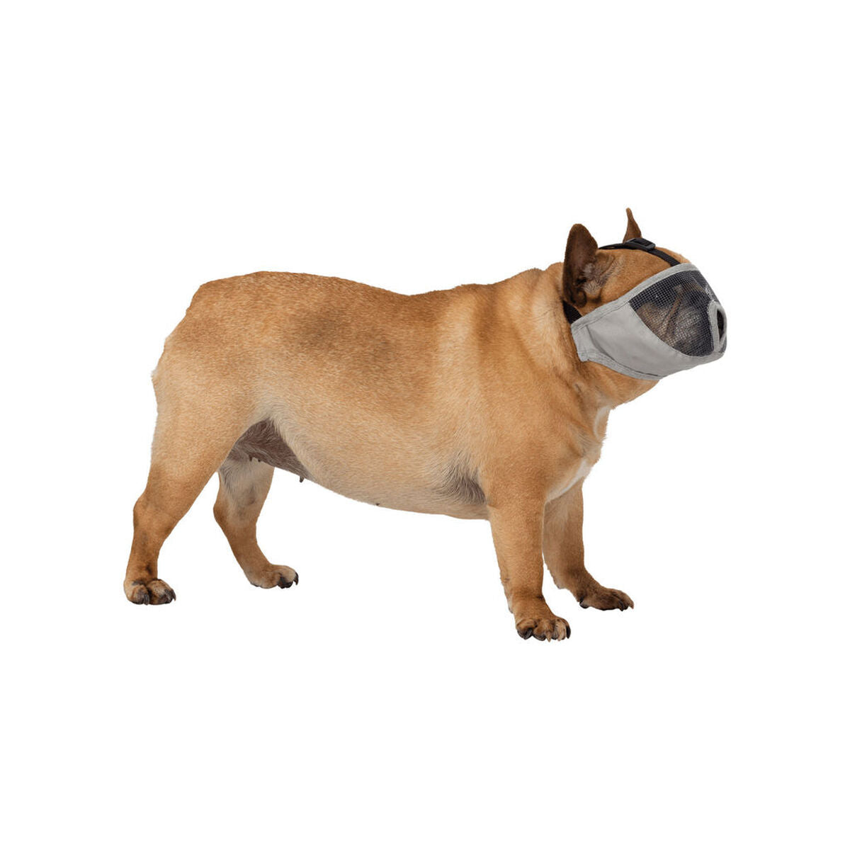 V6H0E0DEA8EAFEBB7CF1BD64521706C927DR7442430P3