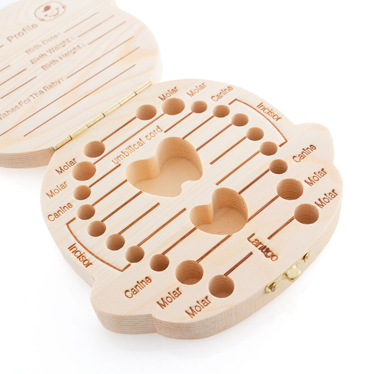 V14HB3E74AF0E2E5A1487505E024EB2065FAR5253354P7